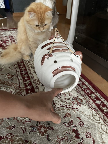 蚊取りアーマー装備エマちゃん