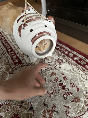 蚊取りアーマー装備エマちゃん