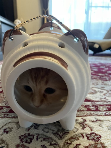 蚊取りアーマー装備エマちゃん