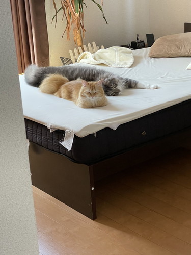 レイくんとエマちゃん