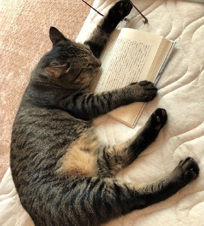 ペット手帳 ベストショット