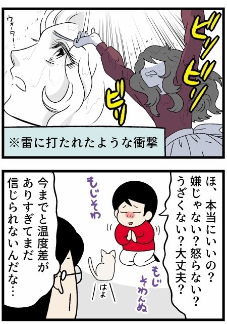 人懐こい新入り猫ちゃん