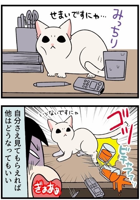 人懐こい新入り猫ちゃん