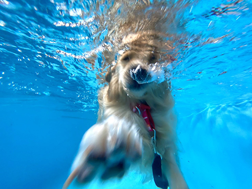 ニルバーナクルトンさん