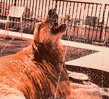 ショーシャンクの空にクルトンさん