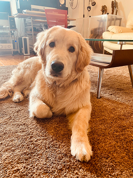 8カ月クルトンちゃん