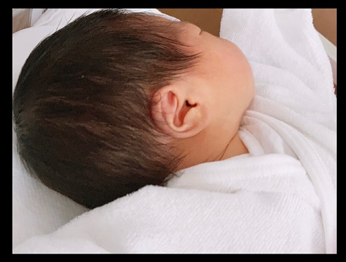 下田麻美 声優 出産 アイドルマスター VOCALOID