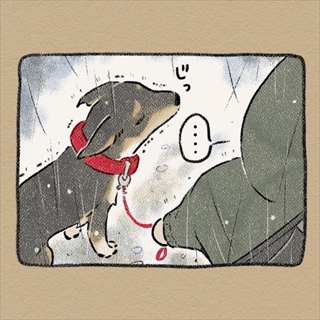 雨雲レーダーを信じて犬の散歩に出たら