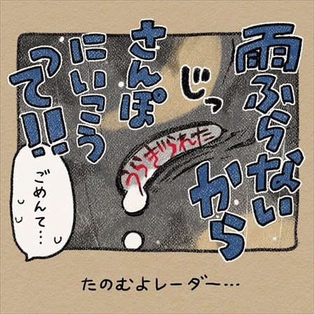 雨雲レーダーを信じて犬の散歩に出たら