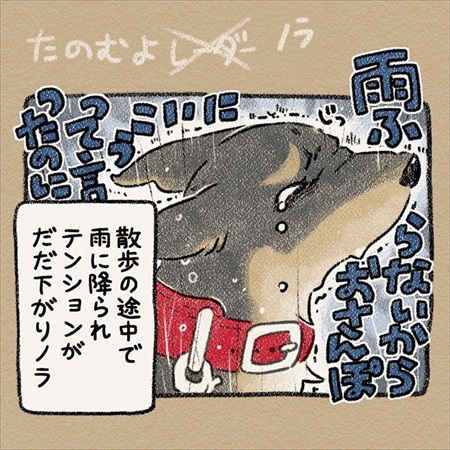 雨雲レーダーを信じて犬の散歩に出たら