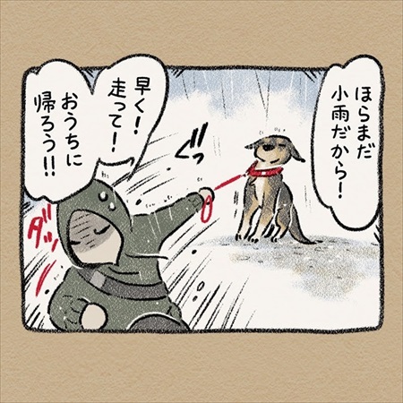 雨雲レーダーを信じて犬の散歩に出たら