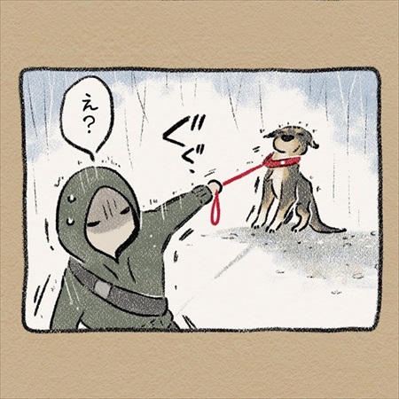 雨雲レーダーを信じて犬の散歩に出たら