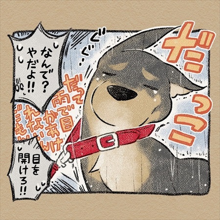 雨雲レーダーを信じて犬の散歩に出たら