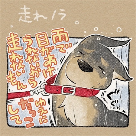 雨雲レーダーを信じて犬の散歩に出たら