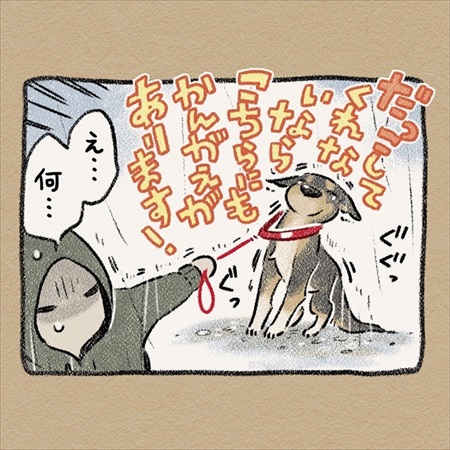 雨雲レーダーを信じて犬の散歩に出たら