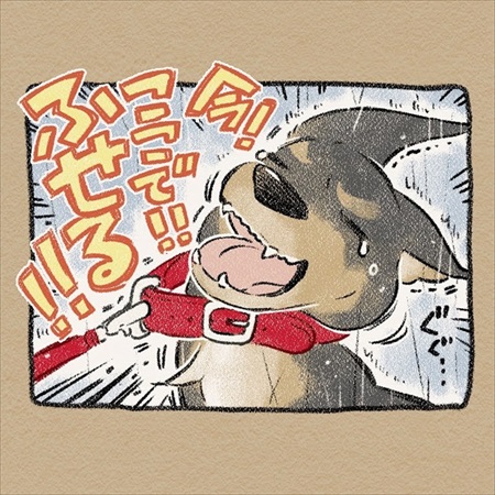 雨雲レーダーを信じて犬の散歩に出たら