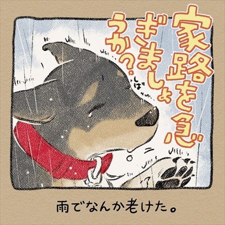雨雲レーダーを信じて犬の散歩に出たら