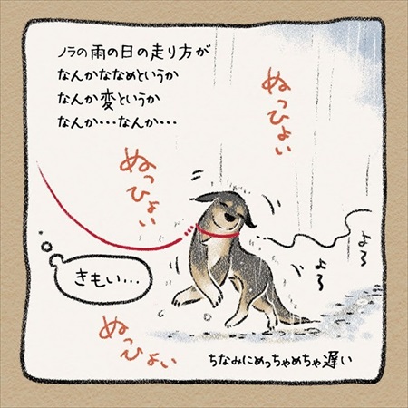 雨雲レーダーを信じて犬の散歩に出たら