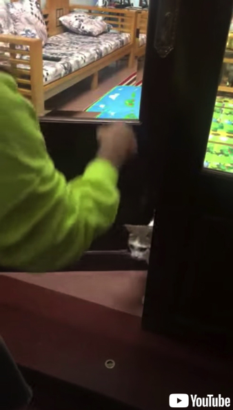 飼い主さんのためにドアを開けてあげる猫