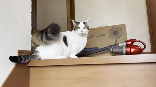 不満げな豆大福さん