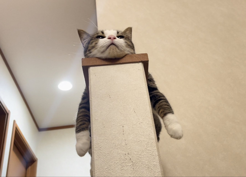 モノレールオデコさん