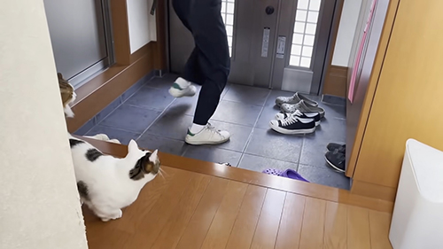 置かれた豆大福さん