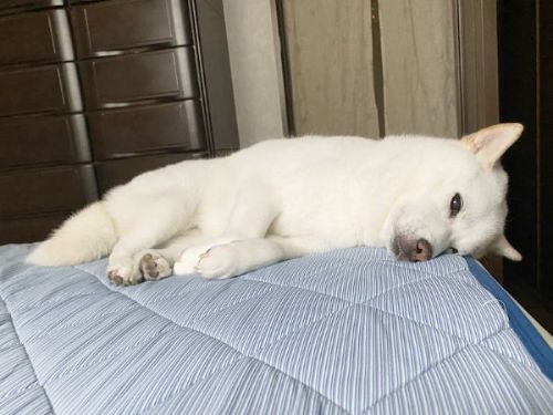 おすすめ