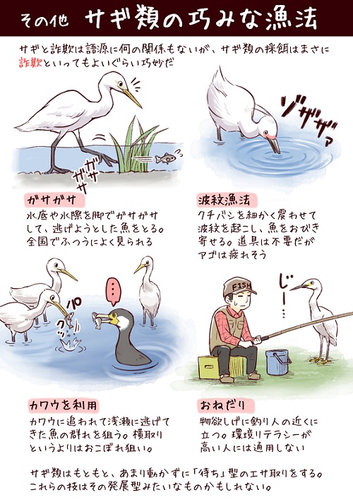 フィッシング詐欺