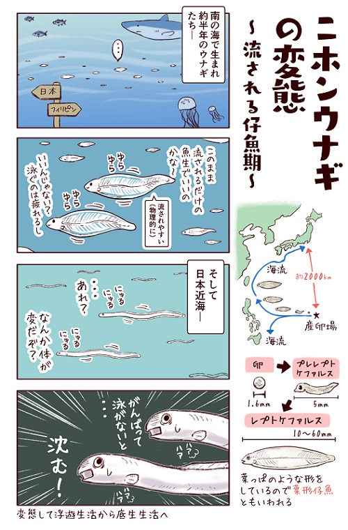 フィッシング詐欺