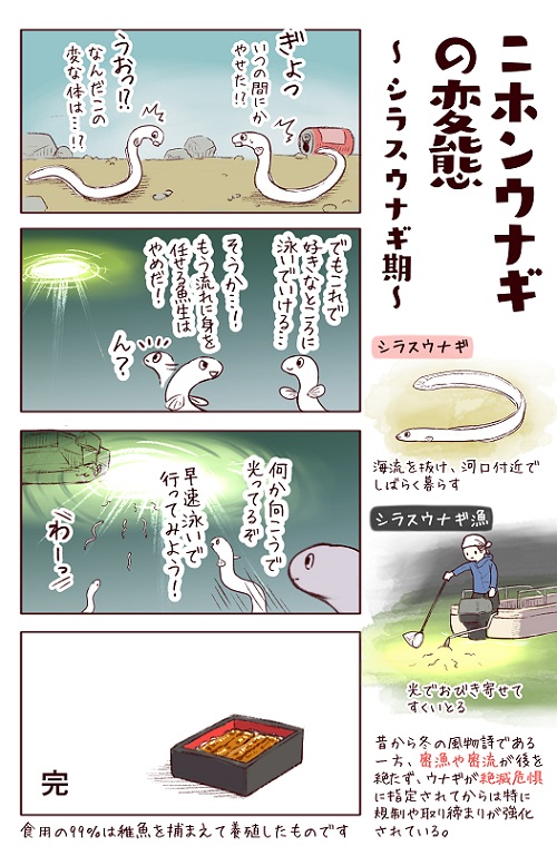 フィッシング詐欺