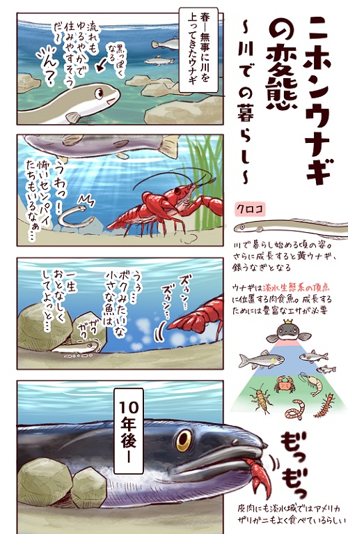 フィッシング詐欺