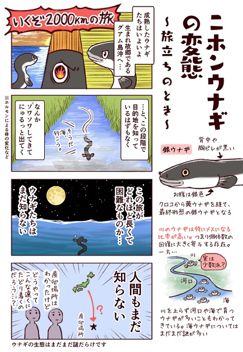 フィッシング詐欺