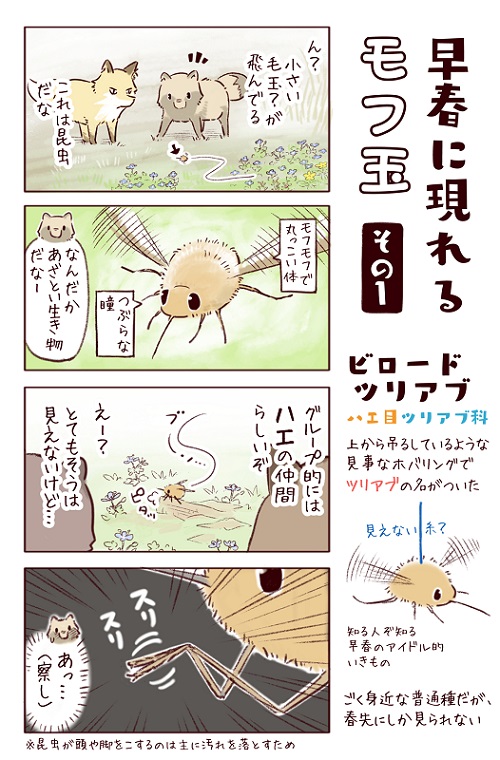 フィッシング詐欺