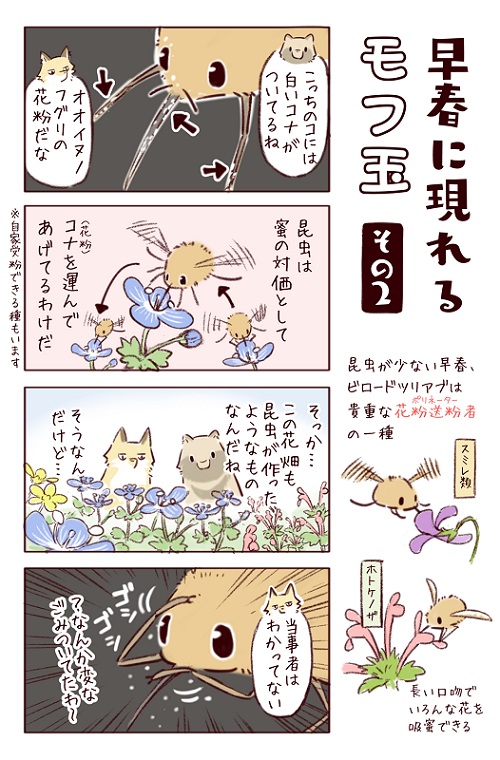 フィッシング詐欺