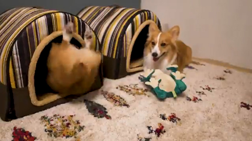 ちいくんのくしゃみ