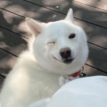 雪海ちゃんウインク