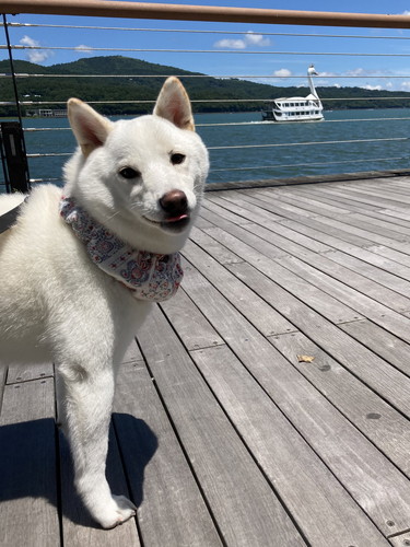 雪海ちゃんいろいろ