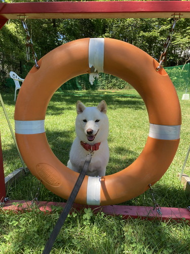 雪海ちゃんいろいろ