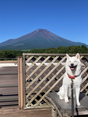 雪海ちゃんいろいろ