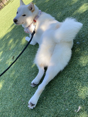 雪海ちゃんいろいろ