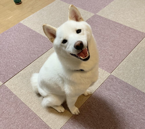 雪海ちゃんいろいろ