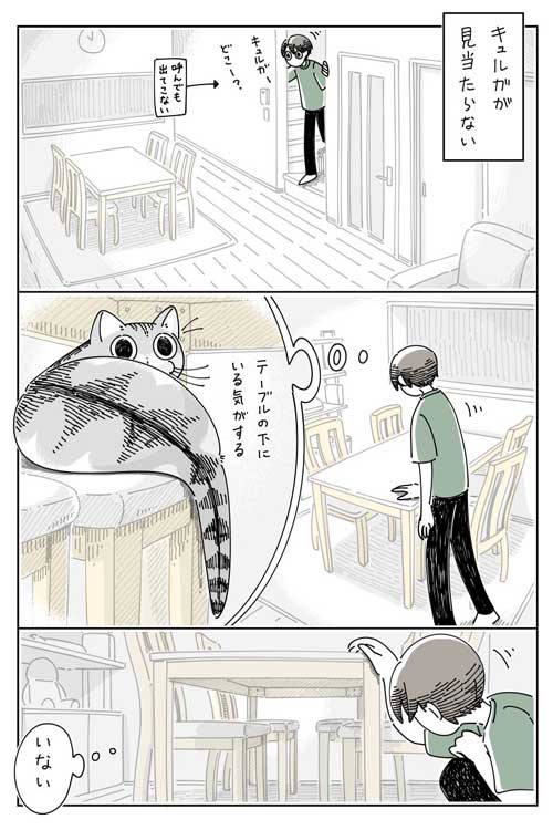 猫 ネコ どこにも見当たらない 漫画 キュルガ