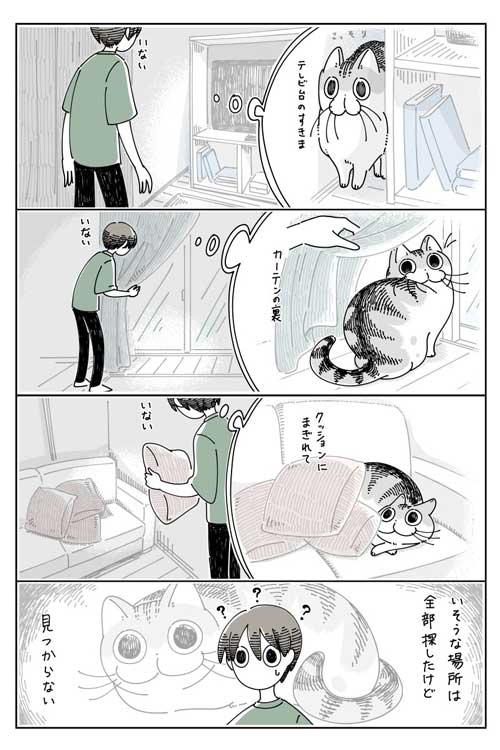 猫 ネコ どこにも見当たらない 漫画 キュルガ