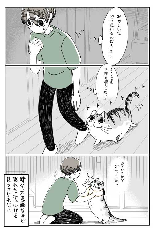 猫 ネコ どこにも見当たらない 漫画 キュルガ