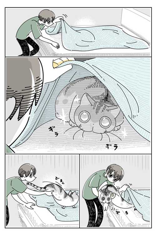 猫 ネコ どこにも見当たらない 漫画 キュルガ
