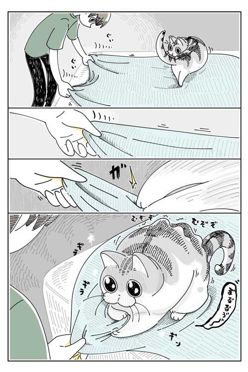 猫 ネコ どこにも見当たらない 漫画 キュルガ