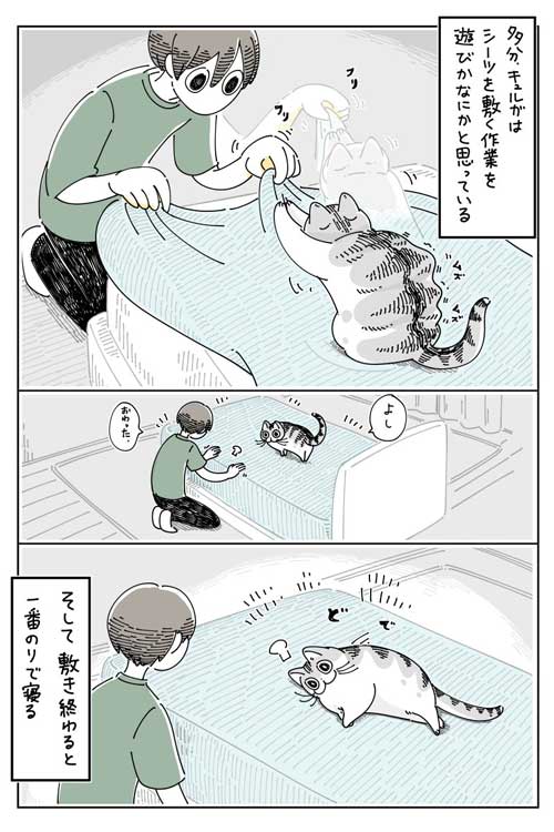 猫 ネコ どこにも見当たらない 漫画 キュルガ