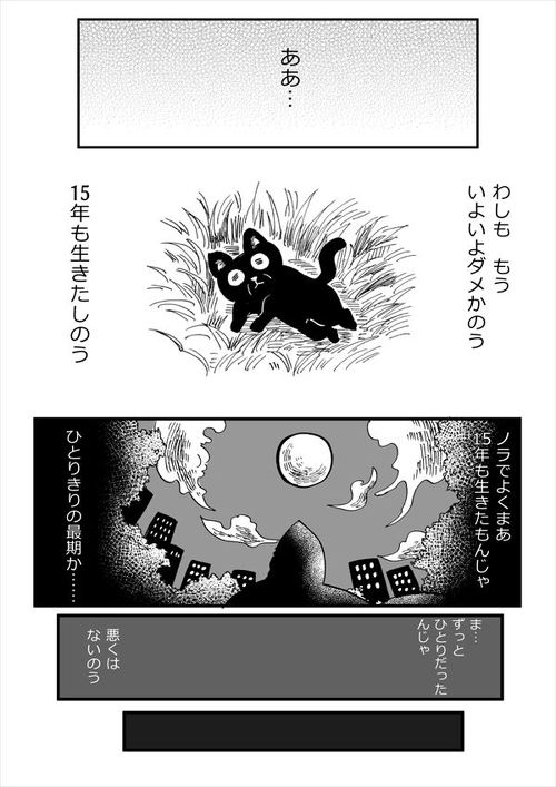 老猫の漫画