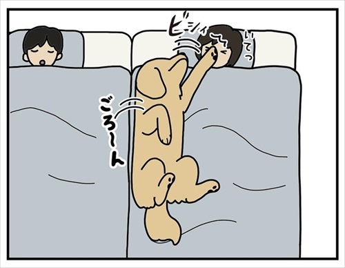 ワンちゃんを触りたいとお願いされた話