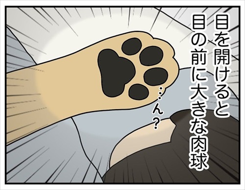 ワンちゃんを触りたいとお願いされた話